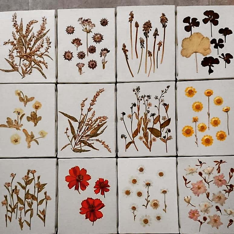 イベント出店のお知らせ