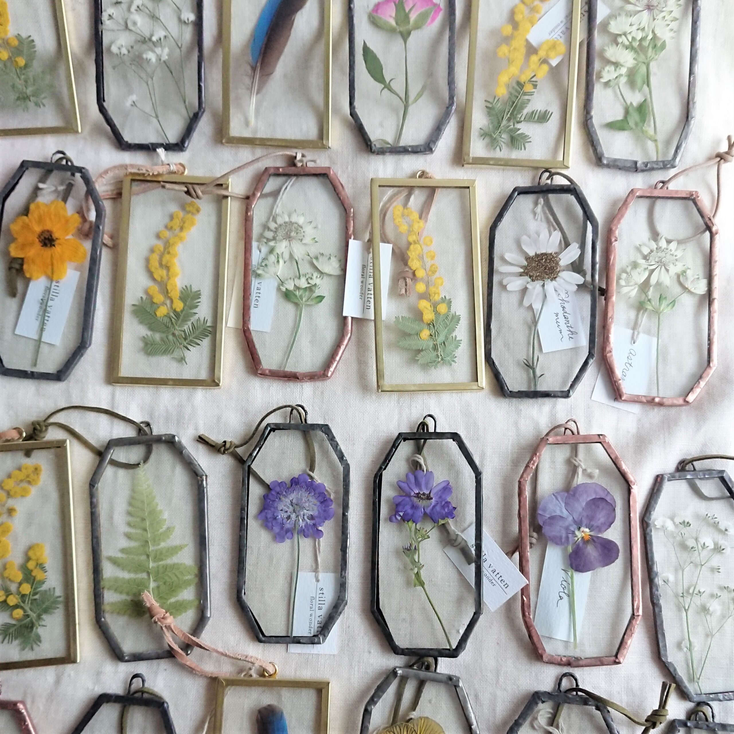 POP UP イベントのお知らせ