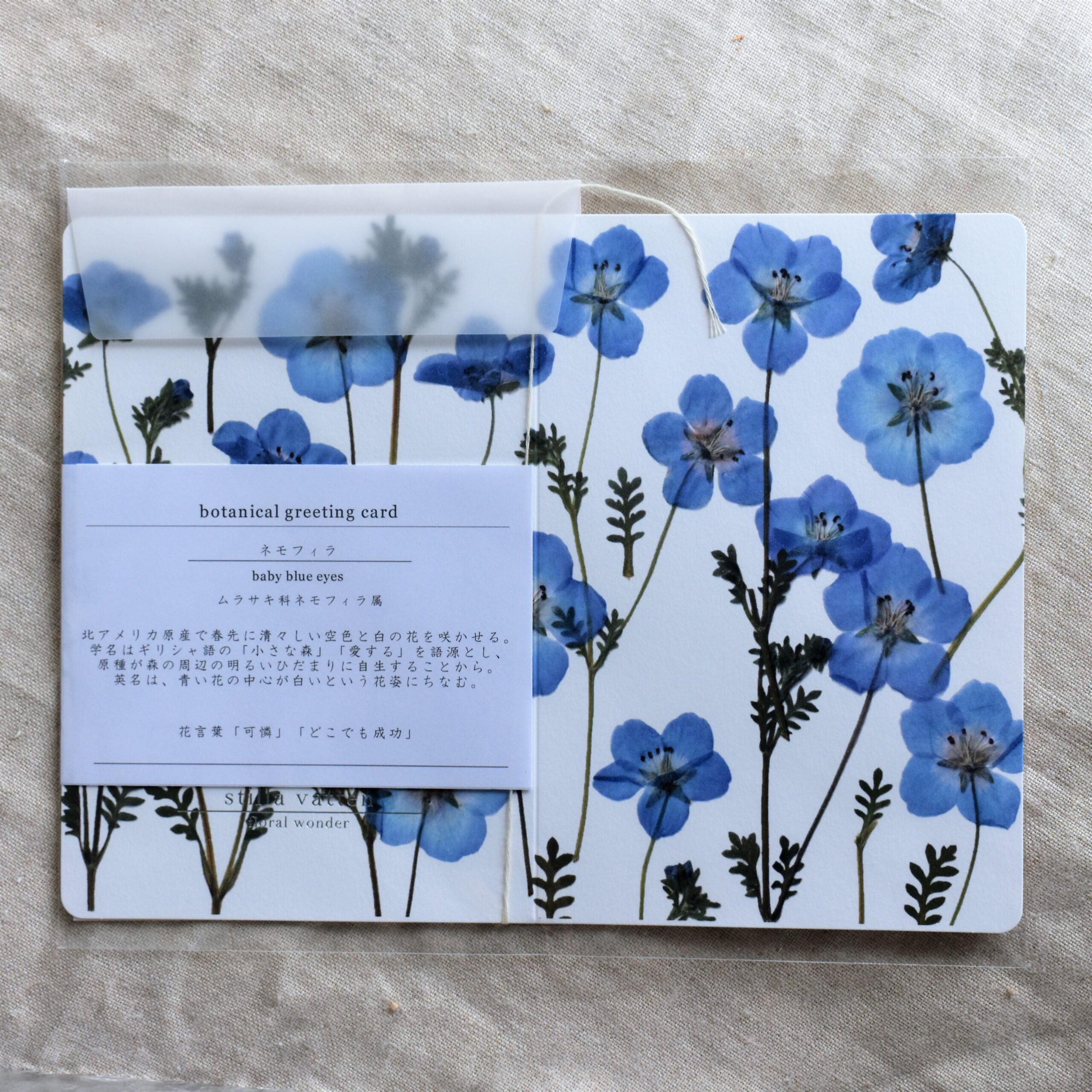 botanical greeting card | stilla vatten｜floral wonder