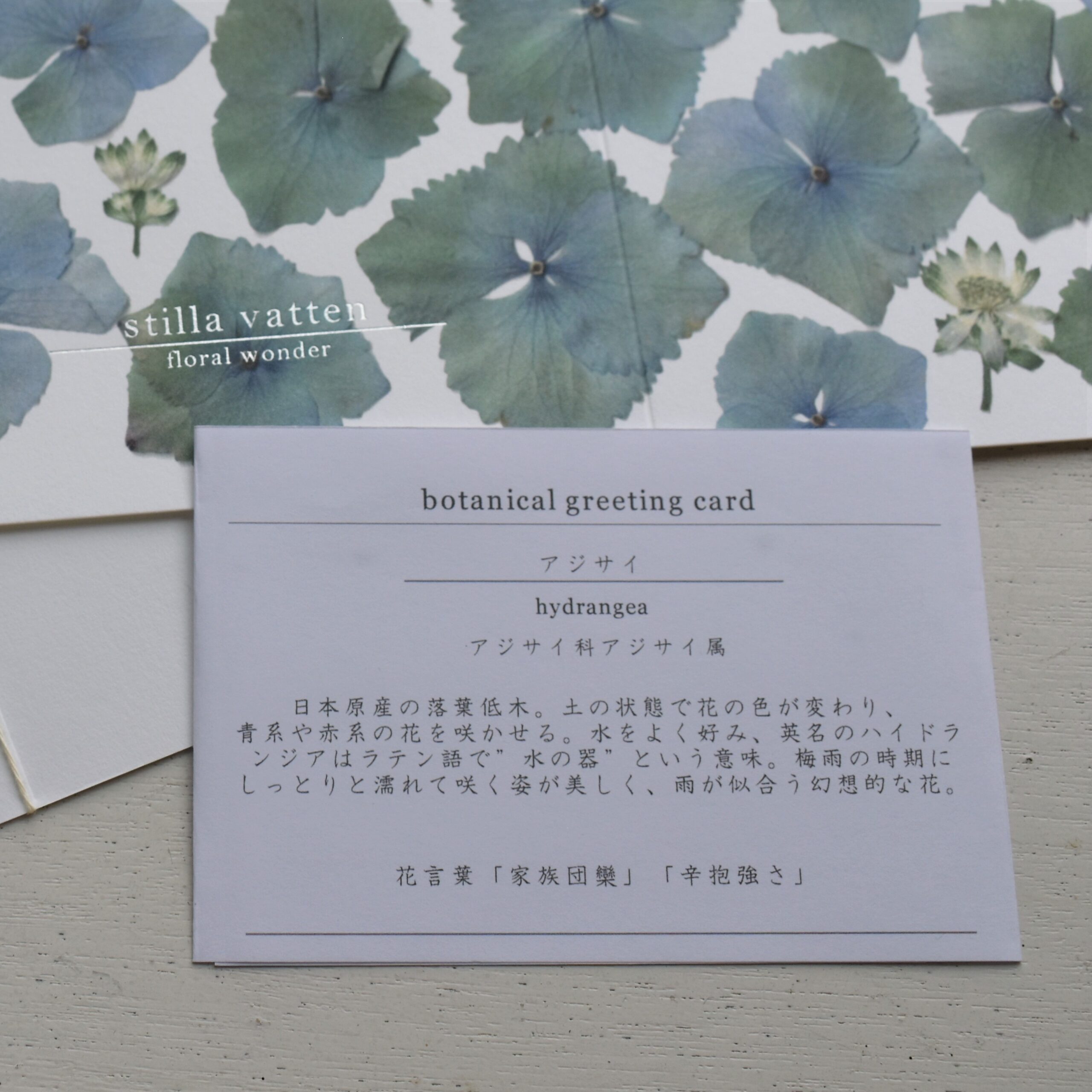 Botanical Greeting Card アジサイ 花言葉メッセージカード Stilla Vatten Floral Wonder