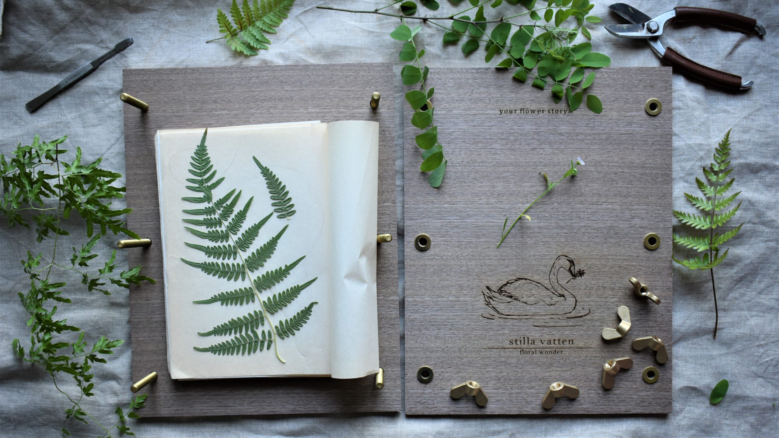 クラウドファンディングに挑戦します