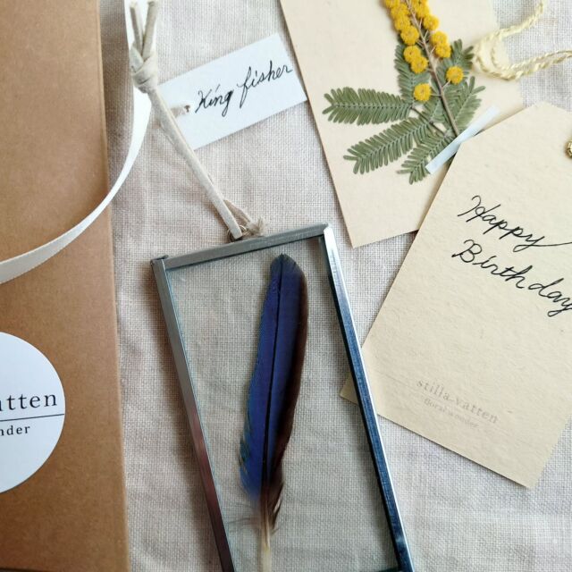 [gift tag]  感謝の花言葉を持つ黄色のふわふわ　の  happy birthday!のメッセージと共におくられる  幸せを運ぶ青い鳥の羽  お誕生日おめでとうございます！  #pressedflower#pressedflowerart
#flowerpressing#botanical#botanicalart#flowers#driedflowers#pressedflowerartist
#押し花#押花#ボタニカル#ボタニカルアート#ドライフラワー#花の贈りもの#flowergift#ハーバリウム#herbalium#ていねいな暮らし#花のある暮らし#naturallife#botanicallife  #ミモザ#mimosa#カワセミ#kingfisher
#happybirthday  #stillavatten
#スティラヴァッテン
#japan#nishinomiya